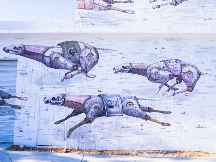 miami, wynwood art district, street art