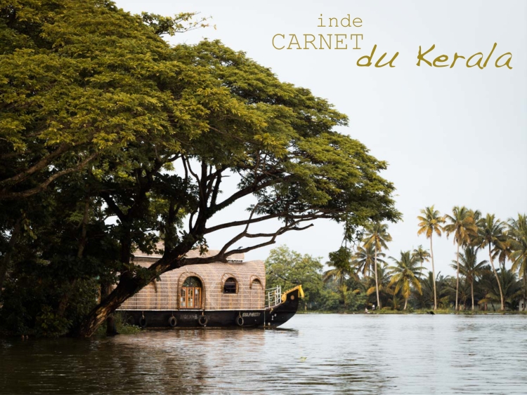 voyager au kerala - photos d'Inde - mousson au Kerala - découvrir les backwaters en Inde