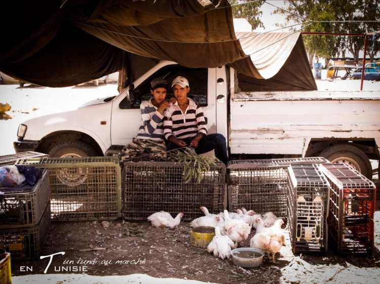 Tunisie - marché tunisien - portrait d'enfants tunisiens