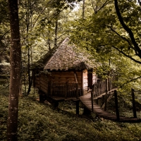 Une cabane dans les Arbres en Alsace