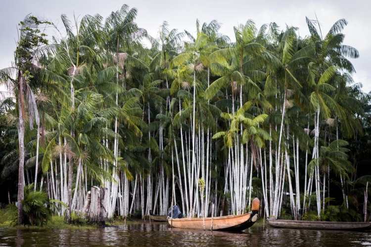 Voyage Guyane Amazonie - Photo d'une piragoue sur le fleuve Saint Laurent du Maroni